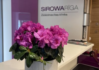 Uzņemšana zobārstniecības klīnikā SIROWA Rīga